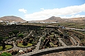 Kanary_2010 231